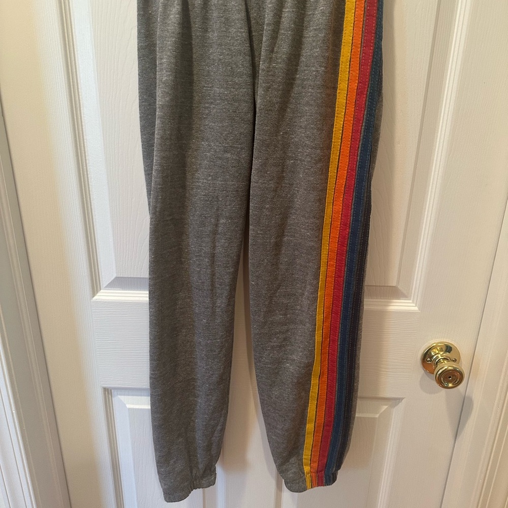Aviator Nation Gray Sweatpants with Colorful Stripe